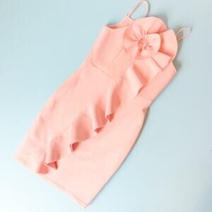 Sonja Morgan Pink Nylon Ruffle Front Sheath Dress Size Medium Fitted Stretch